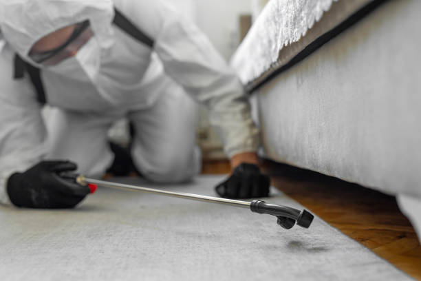Professional Pest Control technician working in Franklin County County, AR